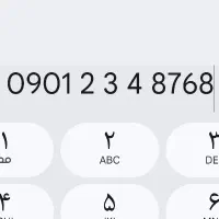 سیمکارت رند 090 1234 8768