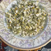 گل بابونه
