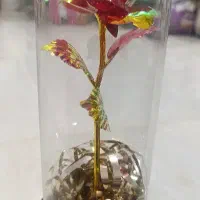 گل هفت رنگ