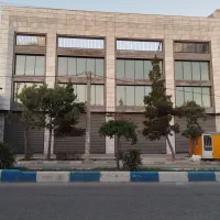 همکار خانم جهت کار