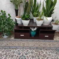 میز تلویزیون  همراه باگلهاش