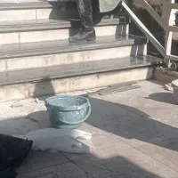 باسازی صفر تا صد ساختمان طراحی دکوراسیون داخلی