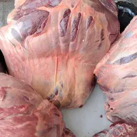 گوشت گوساله ،کشتار روز