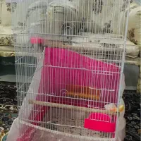 قفس  بزرگ در حد نو