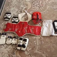 فروش فوری هوگو تکواندو
