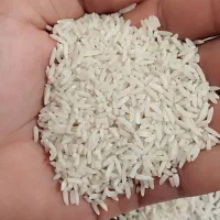 برنج هاشمی تازه تبدیل خالص