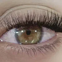 استخدام نیروی ناخنکار و مژهکار
