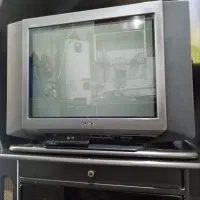 تلویزیون