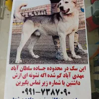 واگذاری