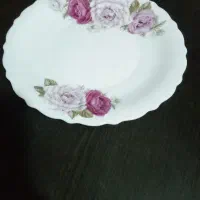یک دست سرویس غذاخوری ارکوپال