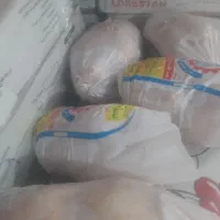 مرغ منجمد و انواع گوشت منجمدتاریخ عالی کیفیت عالی