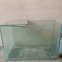 یک عدد آکواریوم