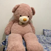خرس یکونیم متری سالم و زیبا