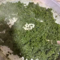 سبزی سرخ شده و پیاز سنتی و پیاز پفکی و باقالی