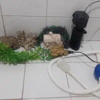 لوازم تزئینی و جانبی آکواریوم
