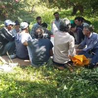 کارگر داریم برای نخودچیدن انگور وسیب وغیره