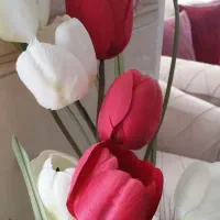 گل و گلدان|گل مصنوعی|الوند, |دیوار