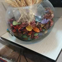 تنگ ماهی پایدار سایز بزرگ