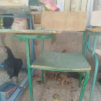 صندلی|صندلی و نیمکت|زاهدان, |دیوار