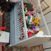 گهواره و تخت
