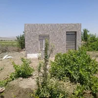 کاربنایی
