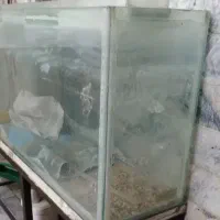 آکواریوم