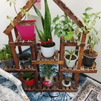 کلبه چوبی تمیز