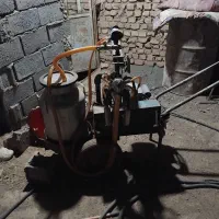 شیردوش گاو
