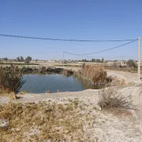 زمین-پشت-ثبت-احوال-زهک