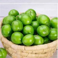 فروش نهال گوجه سبز