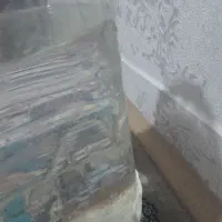 ماهی