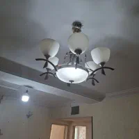 لوستر