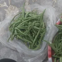 لوبیا سبز