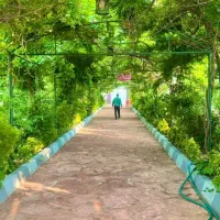 ویلا باغ حاشیه شریعتی