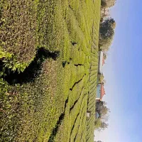 لوله کشی استخر جکوزی موتورخانه سرد گرم