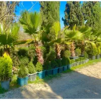 طراحی و اجرای فضای سبز