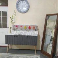 فنچ زبرا 3جفت با لونه