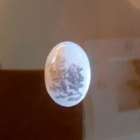 شجر سنگ منظره  دو درخت کاج در گنار هم نقره انگشتر
