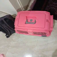 باکس پت