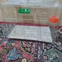 قفس توی قلعه چنعان