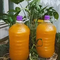 شامپو اقتصادی شبنم
