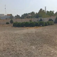 زمین-باغی-فروشی-در-ملارد