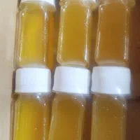 رویش مجدد مو