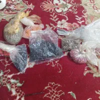 منجوق وسایل خیاطی