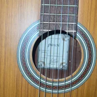 گیتار پارسی M5 کیف و آچار کوک داره