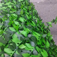 فروش چمن فنس،سنگ،گرینوال به قیمت عمده