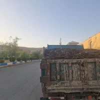 فروش فوری فوری کود گاوی تمیز