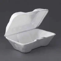 ظروف یکبار مصرف