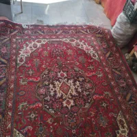 فرش|فرش|سلماس, |دیوار