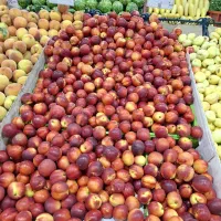 استخدام نیرو کار وارددر غرفه میوه وتربار